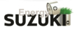 Suzuki energy